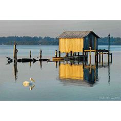 there is a bird that is standing in the water next to a house on stilts