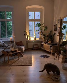 a cat is eating out of a bowl in the middle of a living room with large windows