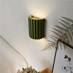 a green lamp is on the wall next to a fern plant and framed photograph in front of it