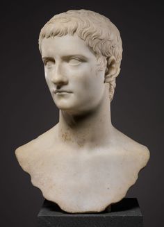 a white marble bust of a man with curly hair