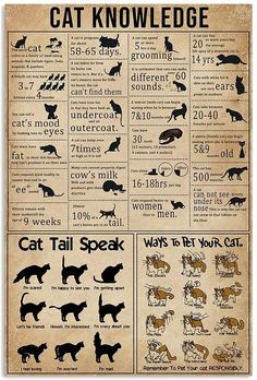 an old poster with cats and dogs in different languages, including the cat's names