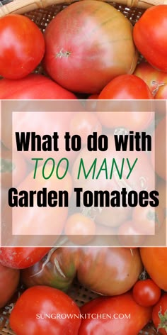 tomatoes in a basket with the words, what to do with too many garden tomatoes