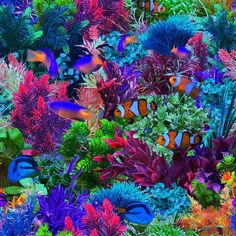 many different colored plants and fish in the water