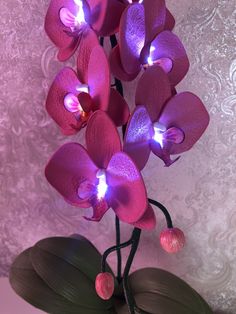 purple orchids with lights on in a vase