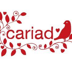 a red bird sitting on top of a branch next to the word caricad