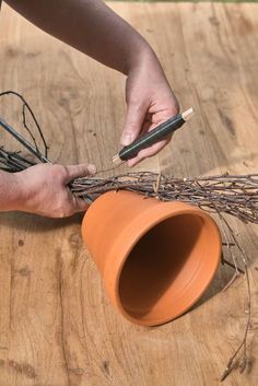 a person is making a vase out of twigs