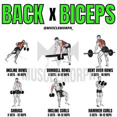 the back and biceps workout poster shows how to do dumbbles with one arm