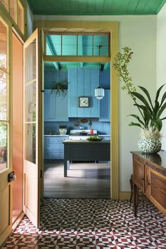 an open door leading to a kitchen with blue walls and flooring, potted plants on the table