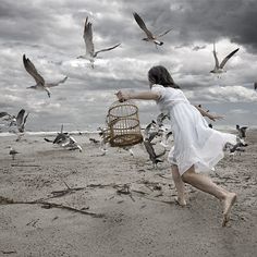 a woman running on the beach with seagulls flying around her and a bird cage in front of her