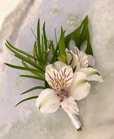 a bouquet of white flowers sitting on top of a marble slab covered in green leaves