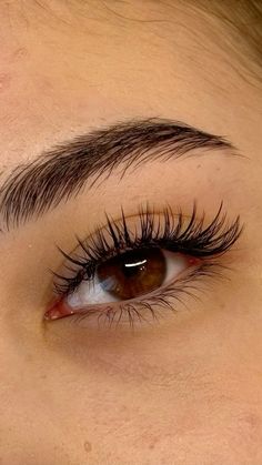 Small Lash Extensions, Natural Fake Eyelashes, Maquillage On Fleek, Lashes Fake Eyelashes, Light Makeup Looks, Pretty Brown Eyes, Eyelash Extensions Styles, Perfect Eyelashes, Pretty Lashes