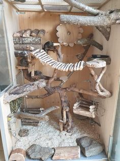 a display case with various types of wood and other things in it's shelves