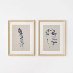 two framed art pieces hanging on the wall next to each other, one with blue and white flowers