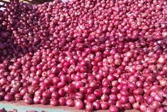 large pile of red onions sitting on top of a wooden pallet in the sun