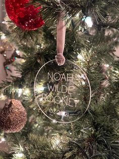 a glass ornament hanging from the top of a christmas tree that says noah wild doggie