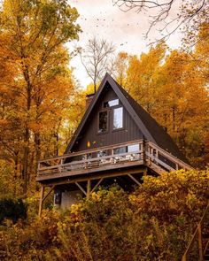 a cabin in the woods surrounded by trees with yellow leaves on it's branches