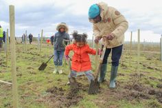 two children and an adult are digging in the ground