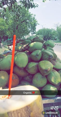 a pile of coconuts sitting on the back of a truck