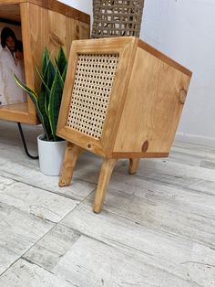 two wooden chairs and a potted plant are on the floor next to each other