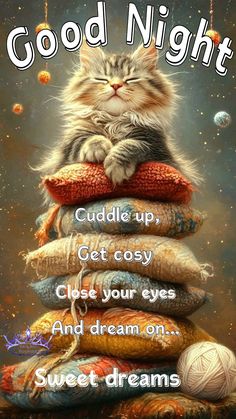 Night Stickers, Good Night Hug, Evening Blessings, Kitty Treats, Bedtime Affirmations, Beautiful Good Night Quotes, Good Night Beautiful, Morning Memes