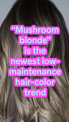 Low Maintenance Hair Color, Mushroom Blonde, Blonde Hair For Brunettes, Mushroom Hair, Brunettes Highlights, Highlights For Brunettes, Summer Hair Highlights, Hair Color Formulas