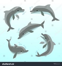 dolphins swimming in the water with bubbles and bubbles around them, on a white background