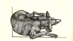 an ink drawing of a dog laying on top of another dog's back and head