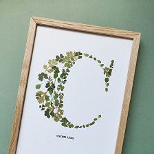 the letter c is made up of leaves and vines in a wooden frame on a green wall