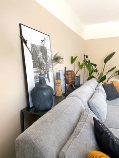 a living room filled with furniture and plants