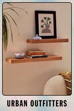 two wooden shelves with books on them and a potted plant in the corner next to it