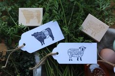 three rubber stamps with animals on them sitting next to some eggs and plants in the background