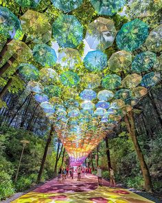 many umbrellas are hanging from the ceiling in a forest with people walking under them