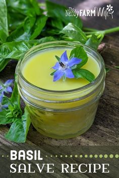 Medicinal Uses For Basil, How To Make Herbal Salves, Salves And Balms Natural Remedies, Basil Herbal Remedies, Sage Salve Recipe, Diy Basil Salve, Henbit Salve, Basil Skin Care, Purslane Salve Recipe