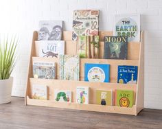 a wooden shelf with books on it and a potted plant in the corner next to it