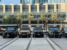 four mercedes benz trucks parked in front of a building with palm trees on the other side