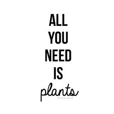 the words all you need is plants in black and white text on a white background