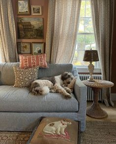 a dog laying on top of a couch in a living room next to a window