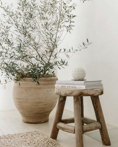 a wooden stool sitting next to a potted plant