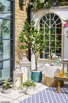 an outdoor area with potted plants and lanterns on the ground next to a window