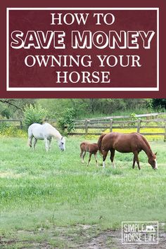 two horses grazing in a field with the words how to save money owning your horse