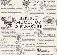 a poster with the words herbs for mood, joy and pleasure