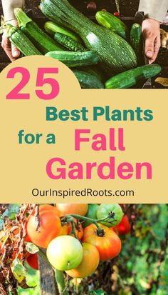 the words 25 best plants for a fall garden are in front of cucumbers and tomatoes