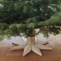 a small tree in a wooden vase on the floor next to a wood flooring pattern