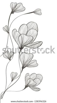 an ink drawing of flowers on a white background