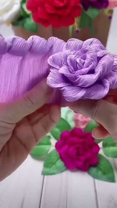 a person holding a purple flower in front of some pink and red flowers on a white table