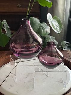 two purple vases sitting on top of a wooden table next to a green plant