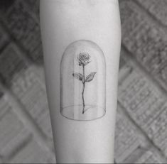 a rose in a glass dome tattoo on the right forearm and leg, it is black and white