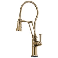 an antique brass faucet with goose head and pull - down sprayer, on a white background