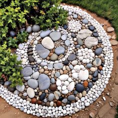 a circular rock garden is shown in the middle of some grass and rocks, along with plants