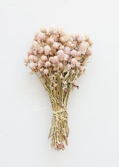 a bunch of dried flowers sitting on top of a white wall